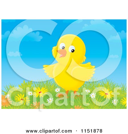 Cartoon of a Cute Yellow Chick and Spring Flowers - Royalty Free Illustration by Alex Bannykh