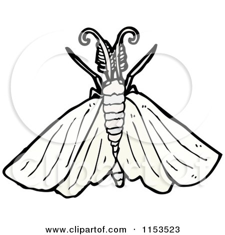 Cartoon of a Moth - Royalty Free Vector Illustration by lineartestpilot