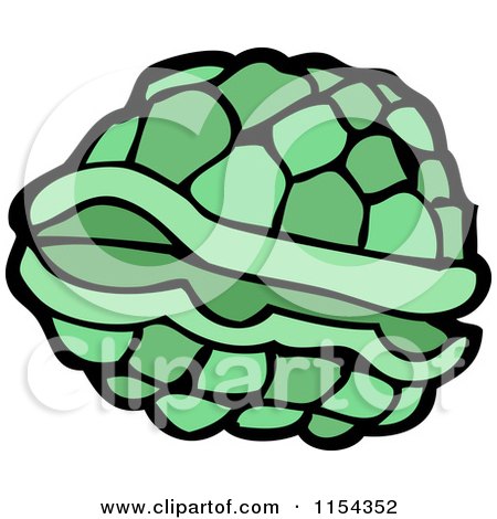 Cartoon of a Green Turtle Shell - Royalty Free Vector Illustration by lineartestpilot