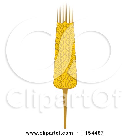 Clipart of a Whole Grain Ear 5 - Royalty Free Vector Illustration by Vector Tradition SM