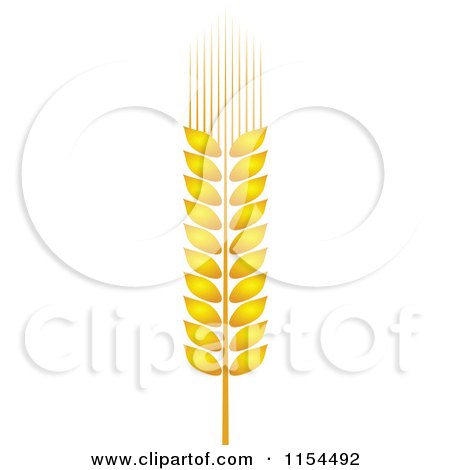 Clipart of a Whole Grain Ear 2 - Royalty Free Vector Illustration by Vector Tradition SM