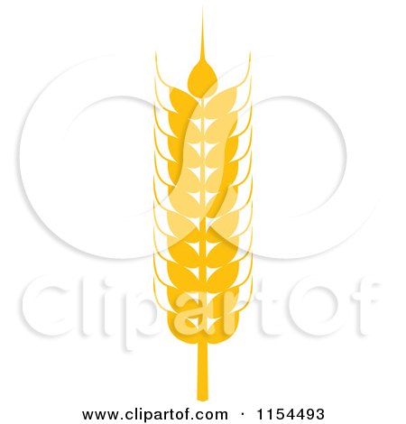 Clipart of a Whole Grain Ear - Royalty Free Vector Illustration by Vector Tradition SM