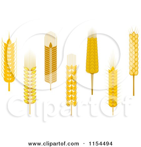 Clipart of Whole Grain Ears - Royalty Free Vector Illustration by Vector Tradition SM