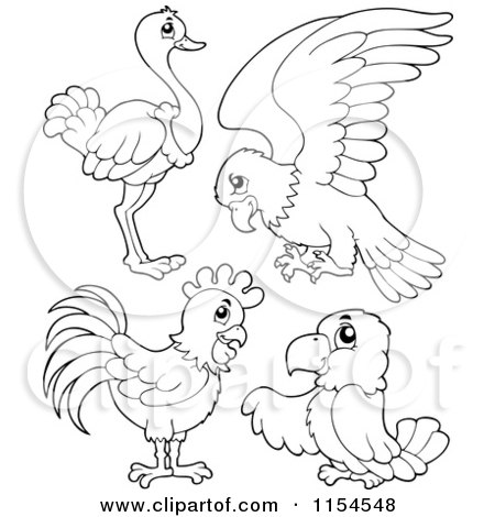 Cartoon of an Outlined Ostrich Parrot Chicken and Parrot - Royalty Free Vector Clipart by visekart
