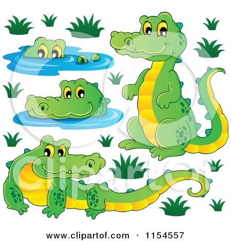 Cartoon of Four Crocodiles - Royalty Free Vector Illustration by visekart