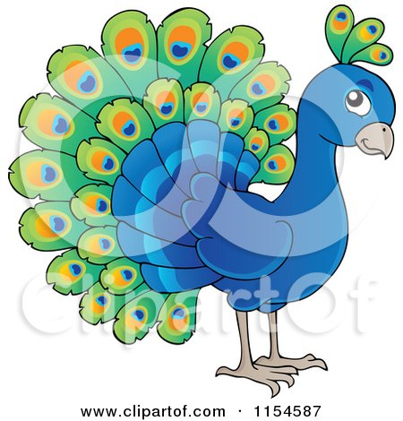 Cartoon of a Cute Peacock - Royalty Free Vector Clipart by visekart