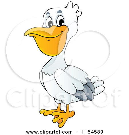 Cartoon of a Pelican - Royalty Free Vector Clipart by visekart