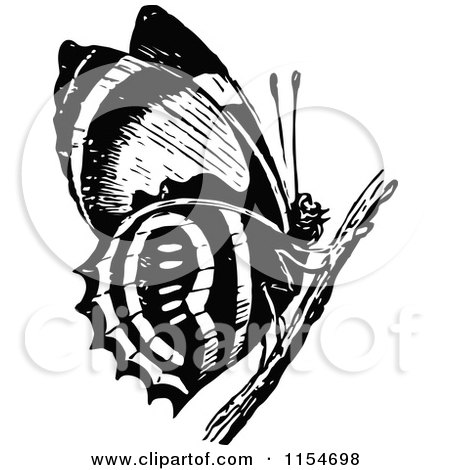 Clipart of a Retro Vintage Black and White Butterfly on a Twig - Royalty Free Vector Clipart by Prawny Vintage