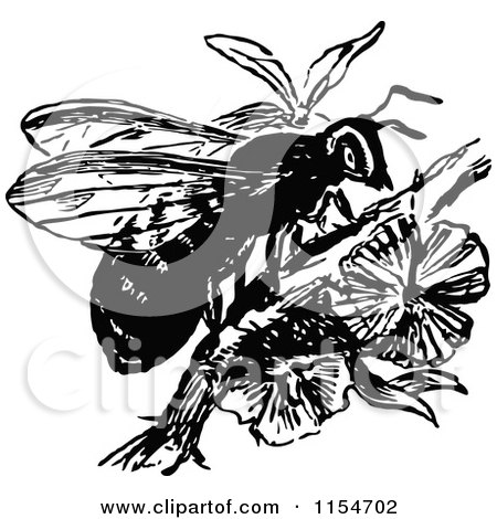 Clipart of a Retro Vintage Black and White Wasp on a Branch - Royalty Free Vector Clipart by Prawny Vintage