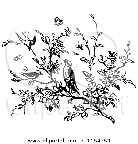 Clipart of a Retro Vintage Black and White Tree Branch and Birds - Royalty Free Vector Clipart by Prawny Vintage