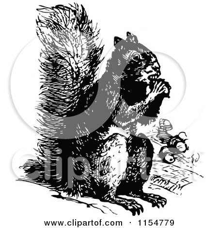 Clipart of a Retro Vintage Black and White Eating Squirrel - Royalty Free Vector Clipart by Prawny Vintage