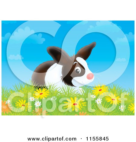 Cartoon of a Bunny Rabbit in a Field of Wildflowers - Royalty Free Illustration by Alex Bannykh