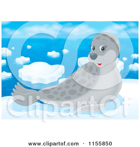 Cartoon of a Cute Gray Seal on Arctic Ice - Royalty Free Illustration by Alex Bannykh