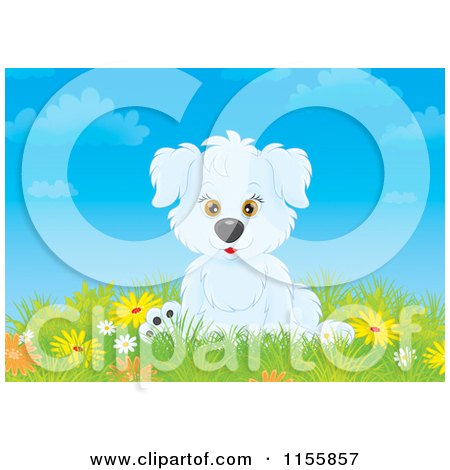 Cartoon of a Puppy in a Field of Wildflowers - Royalty Free Illustration by Alex Bannykh