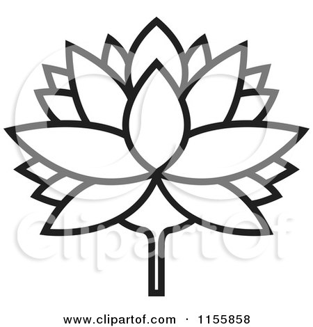 Black And White Outlined Lutus Water Lily Flower Posters Art Prints By Interior Wall Decor