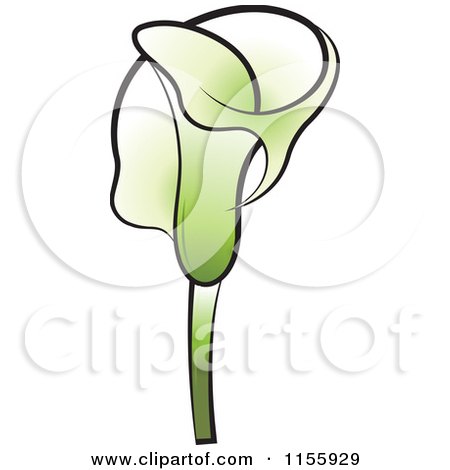 Clipart of a Green Calla Lily Flower 2 - Royalty Free Vector Illustration by Lal Perera