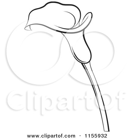 Clipart of a Black and White Calla Lily Flower - Royalty Free Vector Illustration by Lal Perera