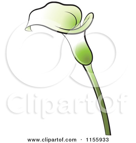 Clipart of a Green Calla Lily Flower - Royalty Free Vector Illustration by Lal Perera