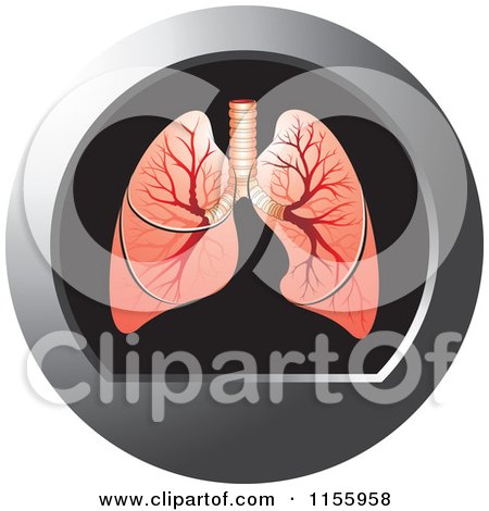 Clipart of a Human Lungs Icon - Royalty Free Vector Illustration by Lal Perera