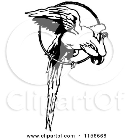 Clipart of a Black and White Retro Parrot in a Ring - Royalty Free Vector Clipart by BestVector
