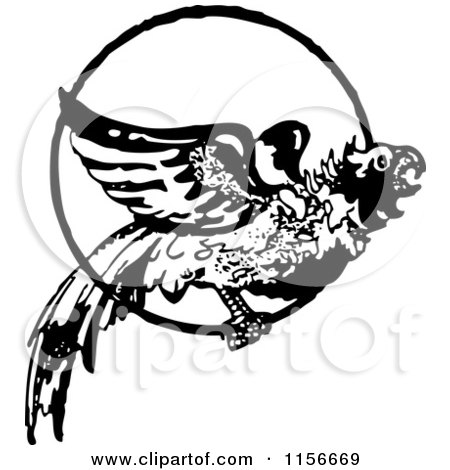 Clipart of a Black and White Retro Parrot in a Ring 2 - Royalty Free Vector Clipart by BestVector