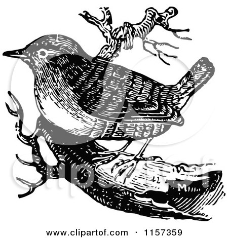 Clipart of a Retro Vintage Black and White Wren - Royalty Free Vector Illustration by Prawny Vintage
