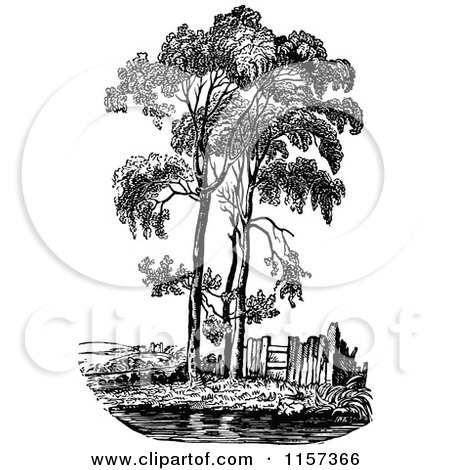Clipart of a Retro Vintage Black and White Poplar Tree - Royalty Free Vector Illustration by Prawny Vintage
