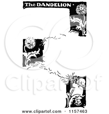 Clipart of a Retro Vintage Black and White Dandelion Border - Royalty Free Vector Illustration by Prawny Vintage