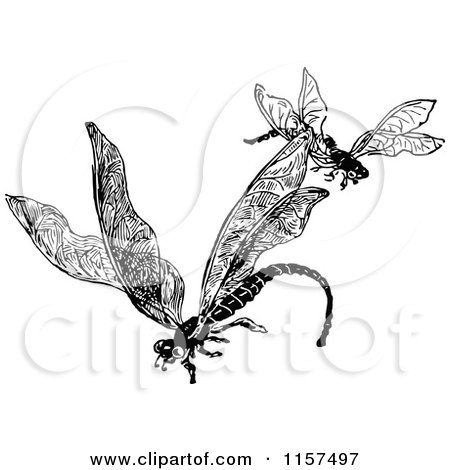 Clipart of a Retro Vintage Black and White Dragonfly Pair - Royalty Free Vector Illustration by Prawny Vintage