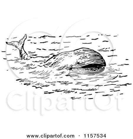 Clipart of a Retro Vintage Black and White Whale - Royalty Free Vector Illustration by Prawny Vintage