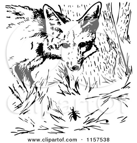 Clipart of a Retro Vintage Black and White Fox and Bug - Royalty Free Vector Illustration by Prawny Vintage