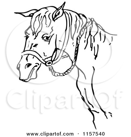 Clipart of a Black and White Horse and Bridle - Royalty Free Vector Illustration by Prawny Vintage
