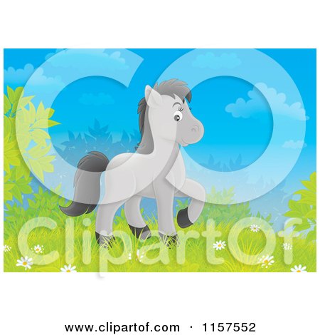 Cartoon of a Cute Gray Horse on a Hill - Royalty Free Illustration by Alex Bannykh