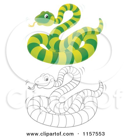 Cartoon of a Green and Outlined Snake - Royalty Free Illustration by Alex Bannykh