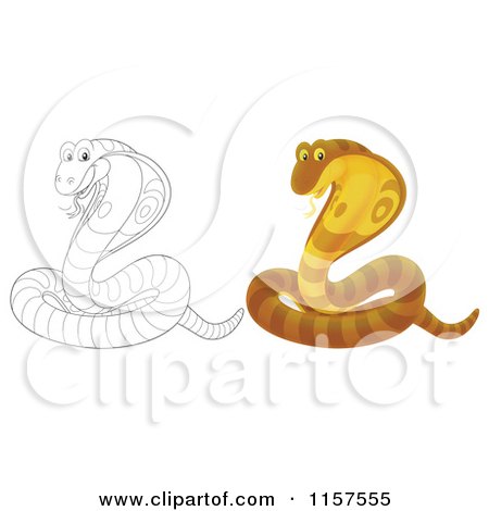 Cartoon of a Brown and Outlined Cobra Snake - Royalty Free Illustration by Alex Bannykh