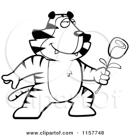 Cartoon Clipart Of A Black And White Romantic Tiger Presenting a Rose - Vector Outlined Coloring Page by Cory Thoman