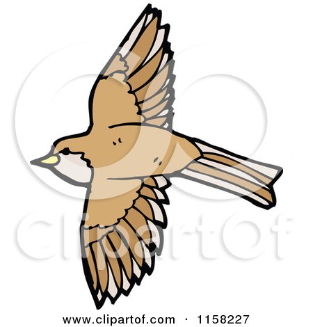 Cartoon of a Bird - Royalty Free Vector Illustration by lineartestpilot