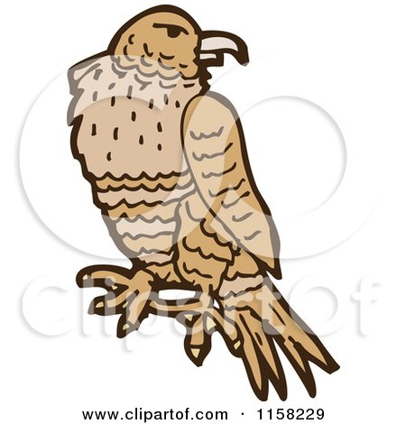 Cartoon of a Hawk - Royalty Free Vector Illustration by lineartestpilot