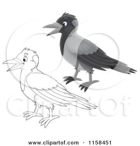 Cartoon of Colored and Outlined Crow Birds - Royalty Free Illustration by Alex Bannykh