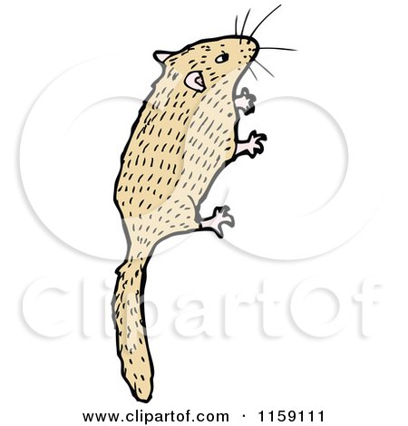 Cartoon of a Mouse - Royalty Free Vector Illustration by lineartestpilot