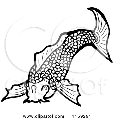 Cartoon of a Black and White Koi Fish - Royalty Free Vector Illustration by lineartestpilot