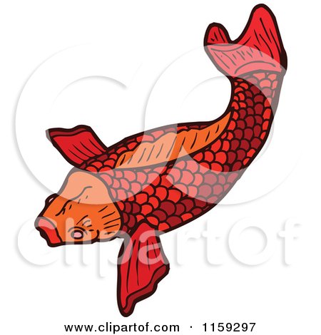 Cartoon of a Red Koi Fish - Royalty Free Vector Illustration by lineartestpilot