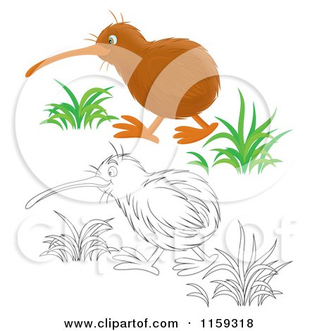 Cartoon of a Colored and Outlined Kiwi Bird - Royalty Free Clipart by Alex Bannykh