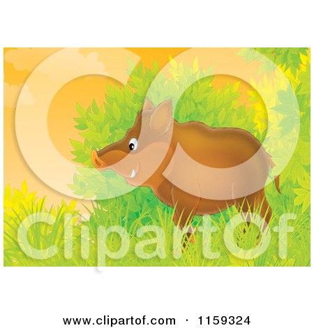 Cartoon of a Boar Emerging from Shrubs - Royalty Free Clipart by Alex Bannykh