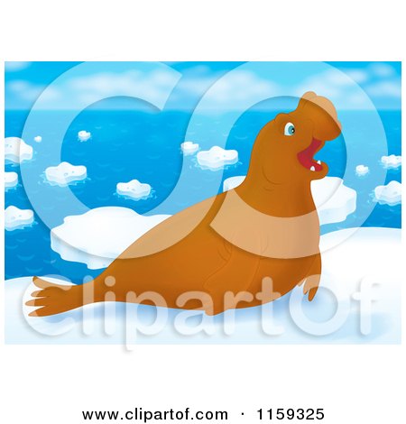Cartoon of a Brown Elephant Seal on Arctic Ice - Royalty Free Clipart by Alex Bannykh