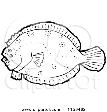 Cartoon of a Black and White Flounder Fish - Royalty Free Vector Illustration by lineartestpilot