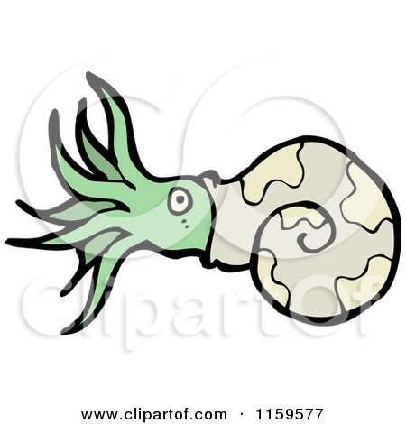 Cartoon of a Nautilus - Royalty Free Vector Illustration by lineartestpilot