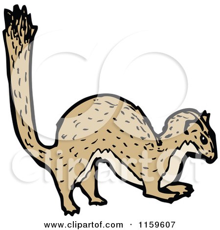 Cartoon of a Weasel - Royalty Free Vector Illustration by lineartestpilot