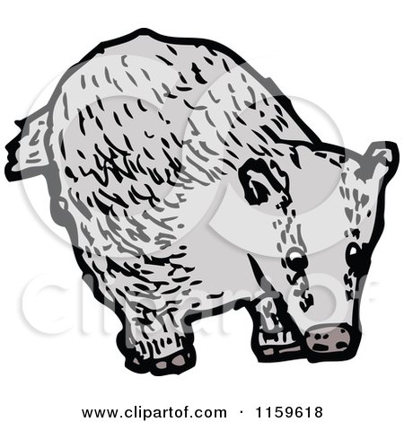 Cartoon of a Badger - Royalty Free Vector Illustration by lineartestpilot