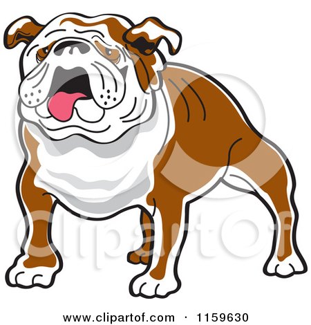 Cartoon of a Brown and White Bulldog - Royalty Free Vector Clipart by Andy Nortnik